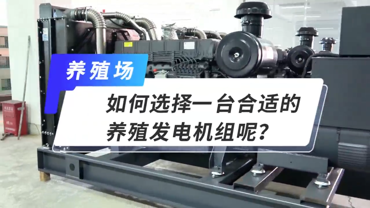 「視頻」如何選擇一臺合適的養(yǎng)殖發(fā)電機組呢？